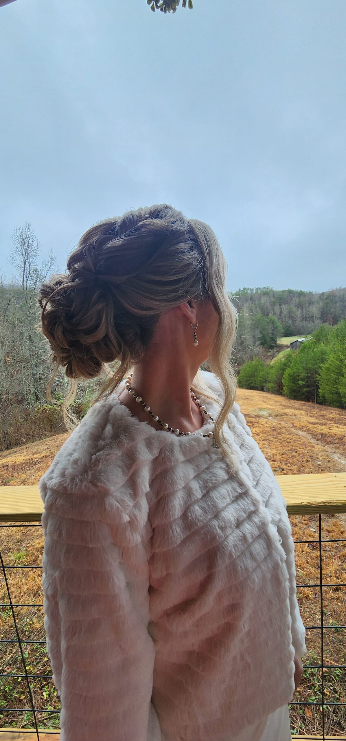 web picture 11
